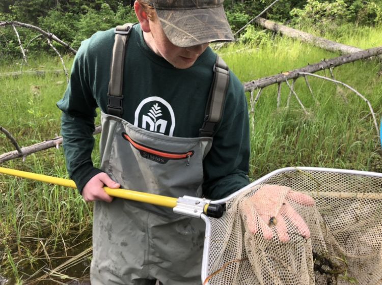 A YCC crew member holds a net. His hand rests under the netting and on top of his hand and the net is a small aquatic creature.