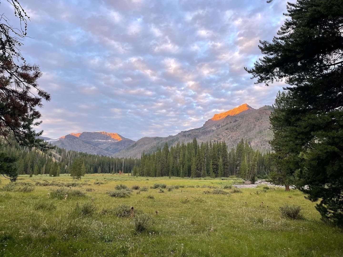A beautiful meadow with mountain peaks in the background, with the sunset hitting them.