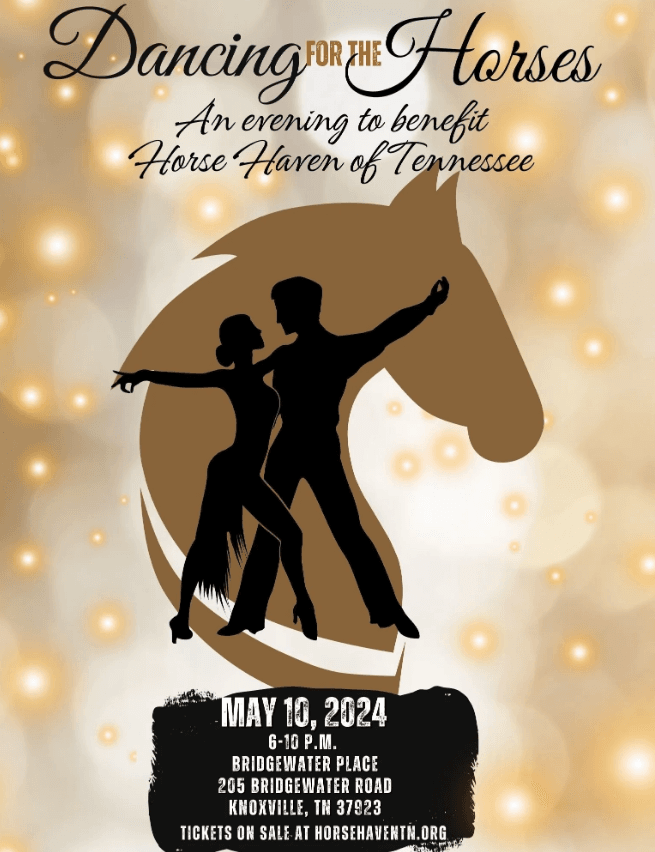Join us for "Dancing for the Horses 2024”