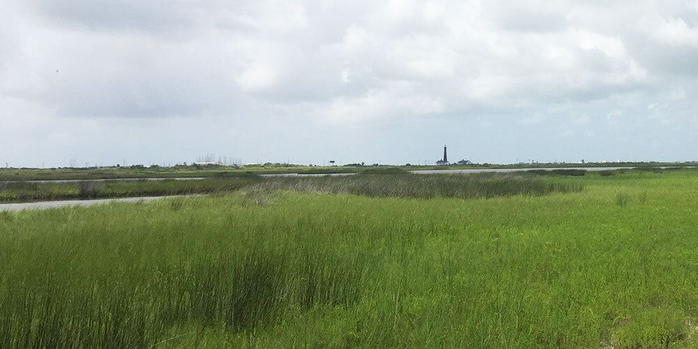 Horseshoe Marsh Bird Sanctuary