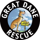 Great Dane Rescue