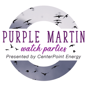Houston Audubon Hosts Purple Martin Watch Parties this Summer with Support from the CenterPoint Energy Foundation