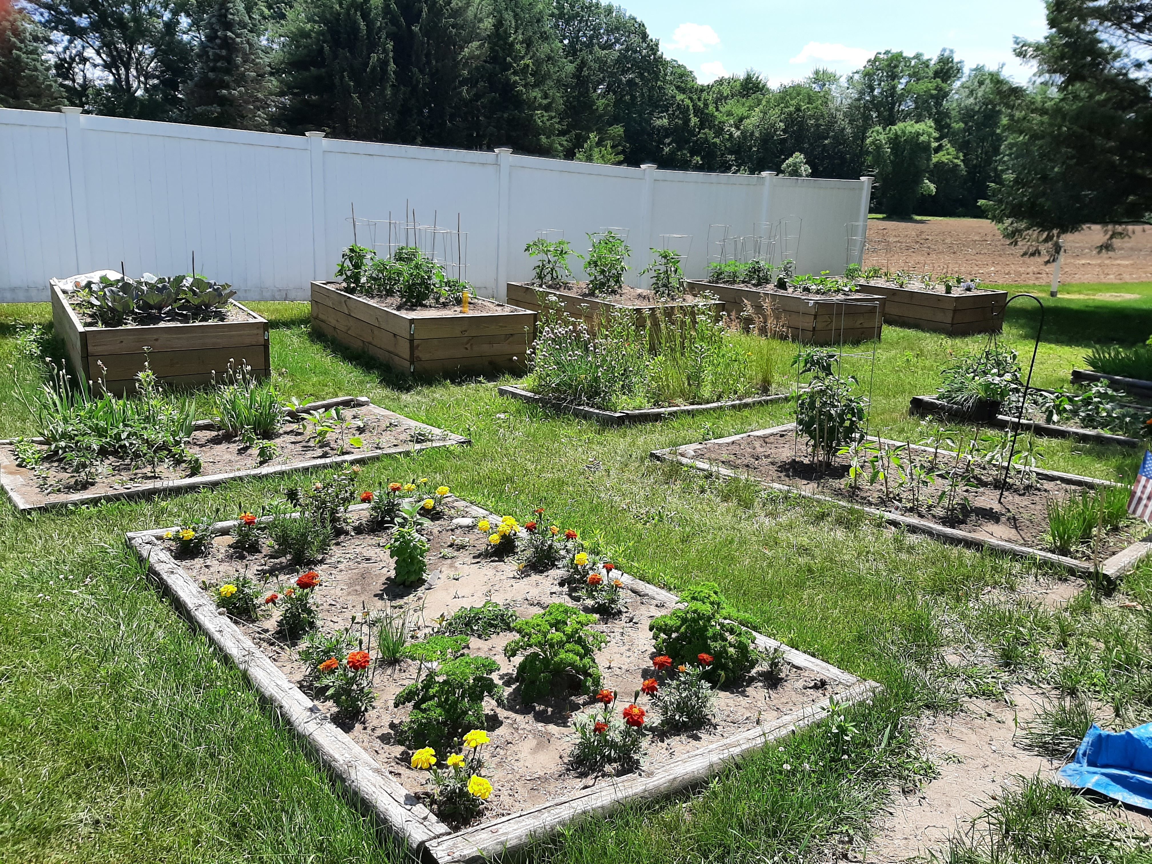 Coburg Village community gardens