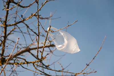 Tackling Plastics in Rhode Island