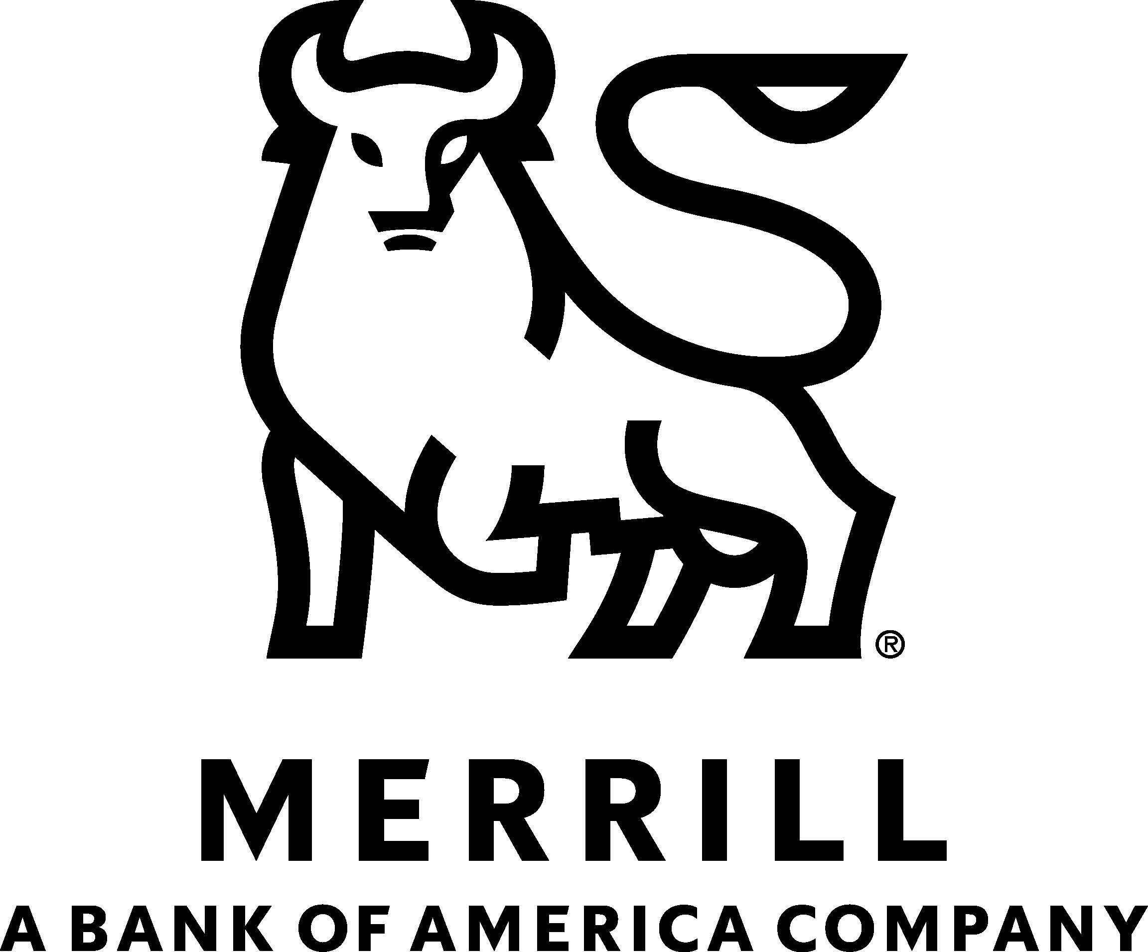 Merrill Lynch - Tim Johnson