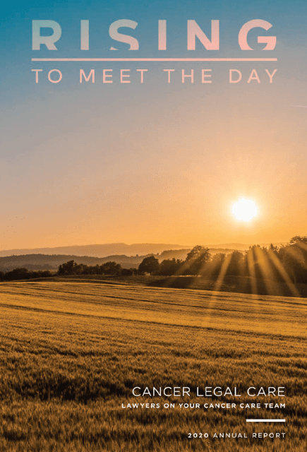 2020 Annual Report—Rising To Meet The Day
