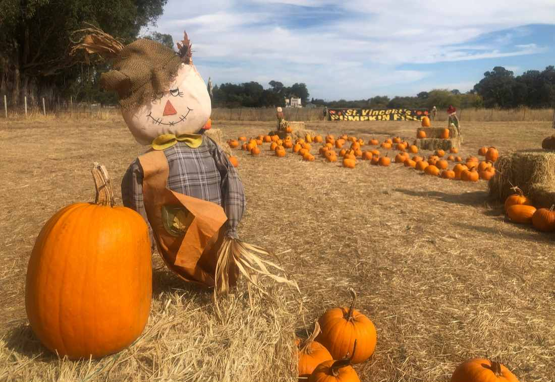 The Godmothers of St. Vincent's School for Boys Pumpkin Patch