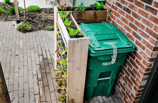 a green composting bin sits outdoors near a garden 