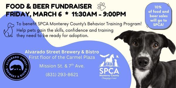 Dine-In on Friday, March 6 for 10% of your beer and food purchases to go back to SPCA Monterey County!