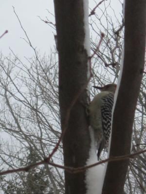 Daily Prayer February 2