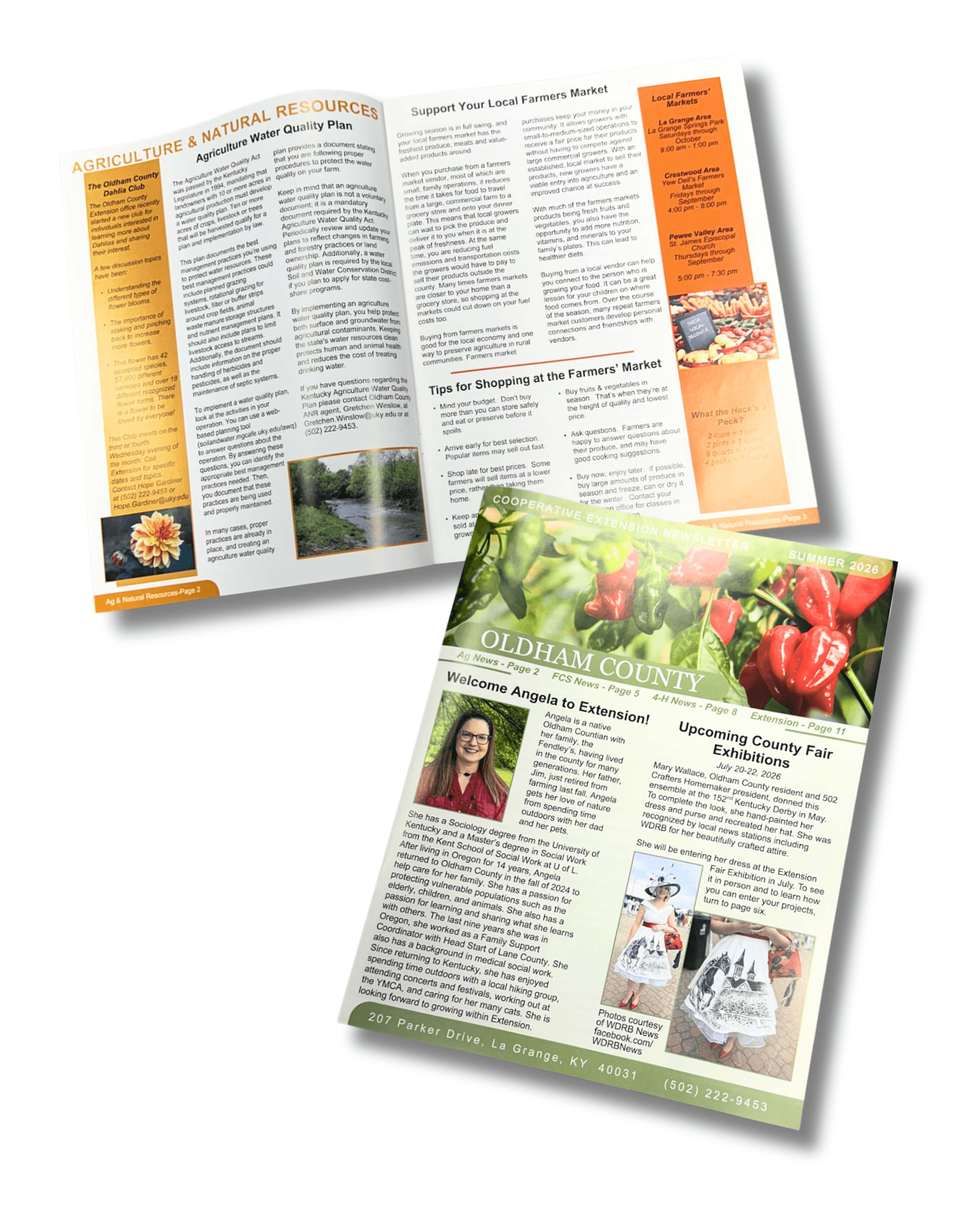 Newsletters