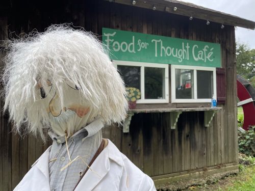 A ScareCrow with wild white hair in a lab coat looks at the camera with the Food for Thought Cafe' in the background. The scarecrow resembles Albert Einstein the famous physicist