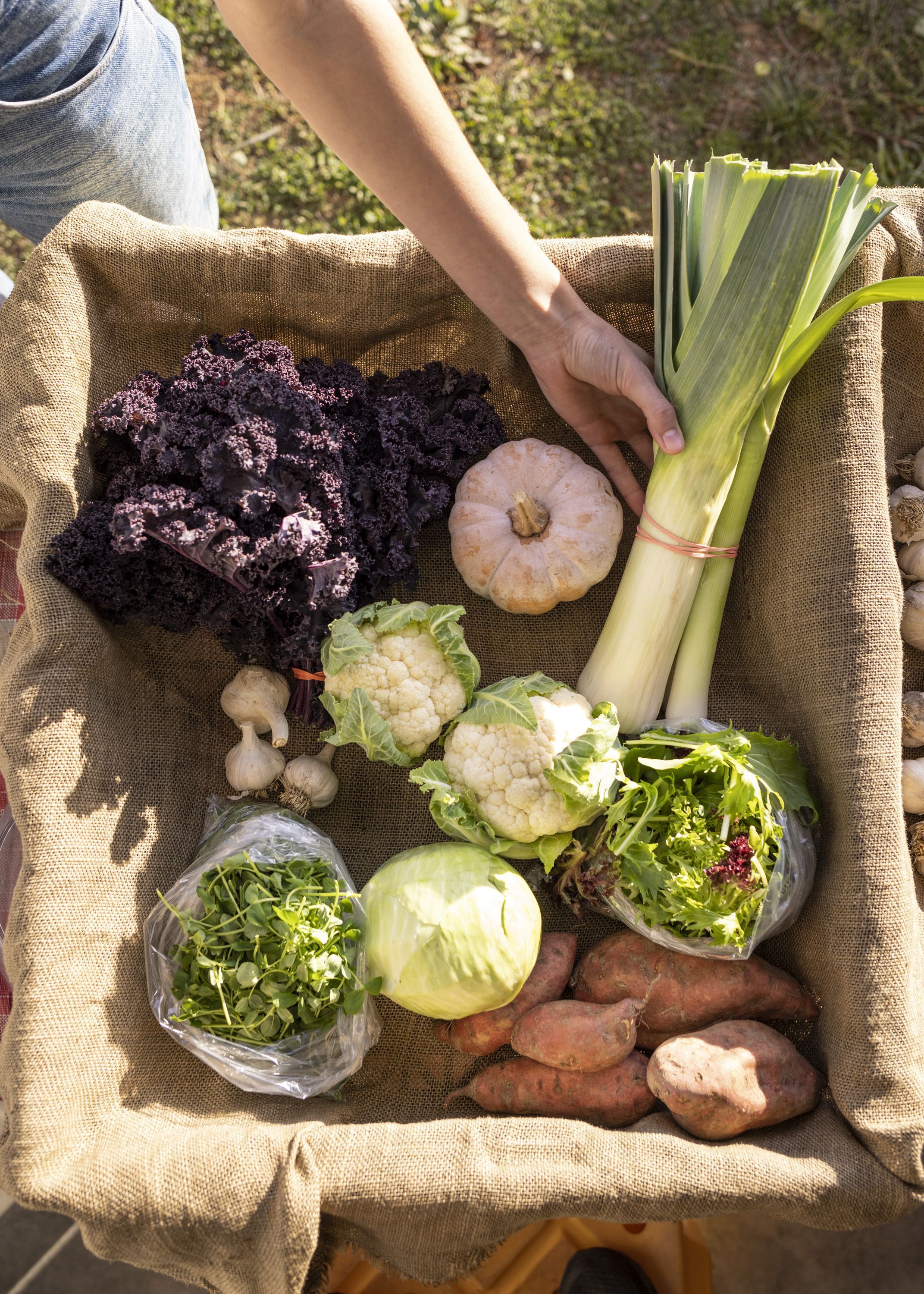 Summer/Fall Vegetable CSA is LIVE!