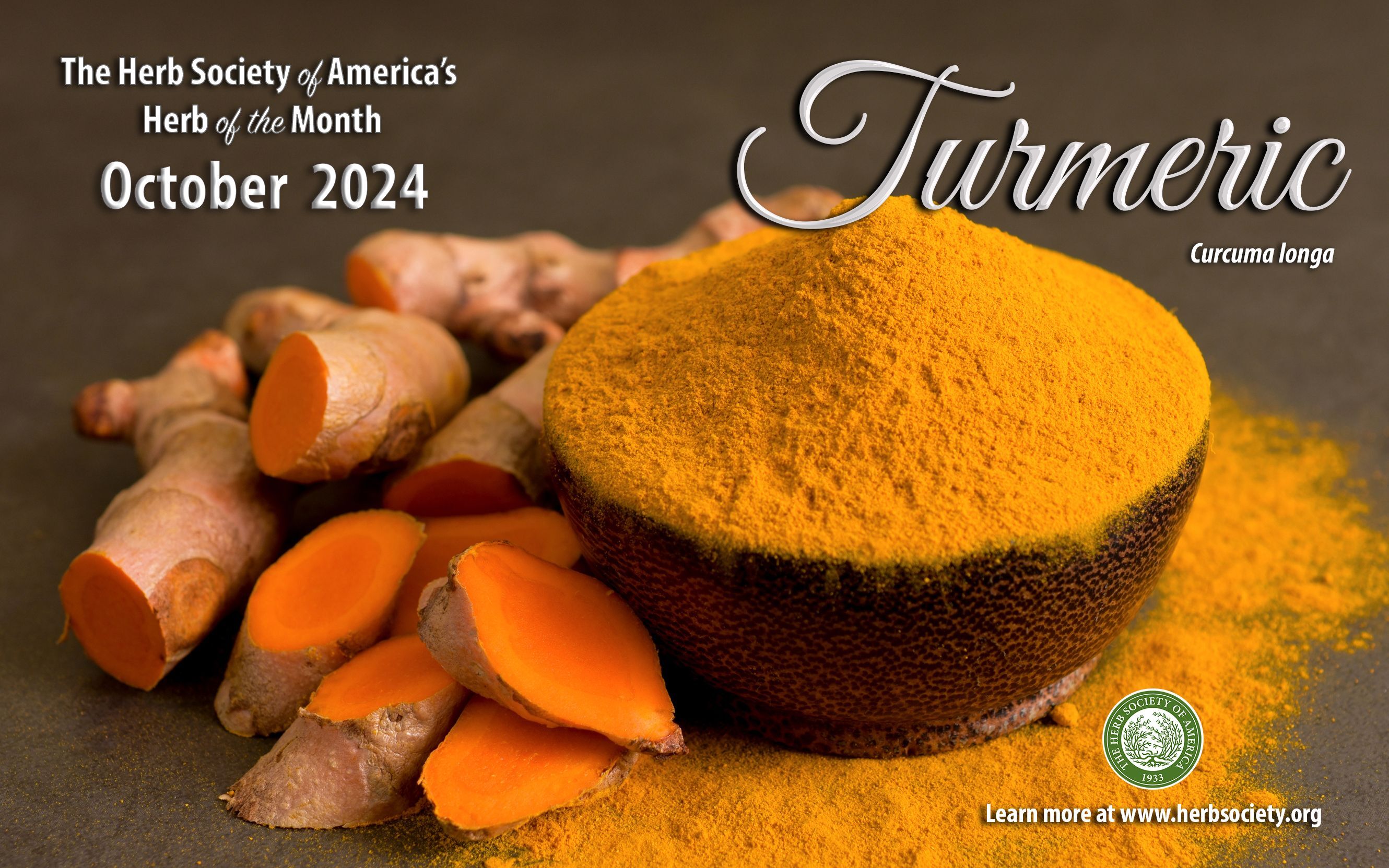 October - Turmeric