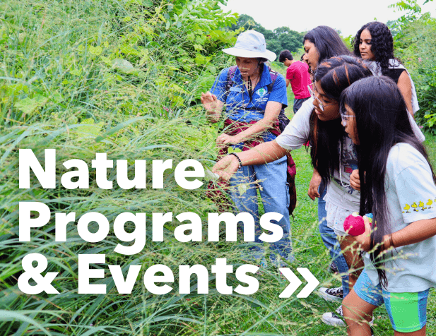 Nature Programs and Events Calendar