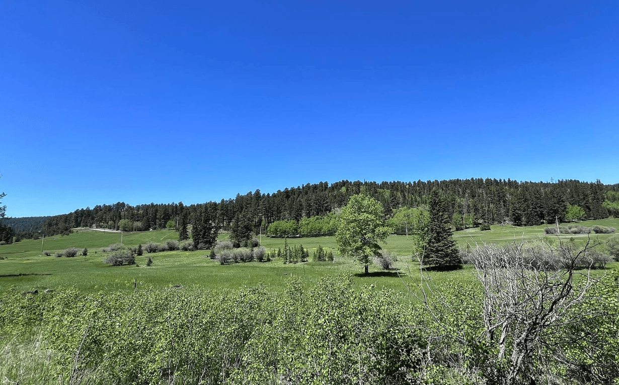 Green trailside