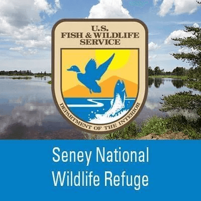 Seney National Wildlife Refuge Photo Contest 2024