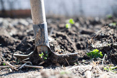 composting