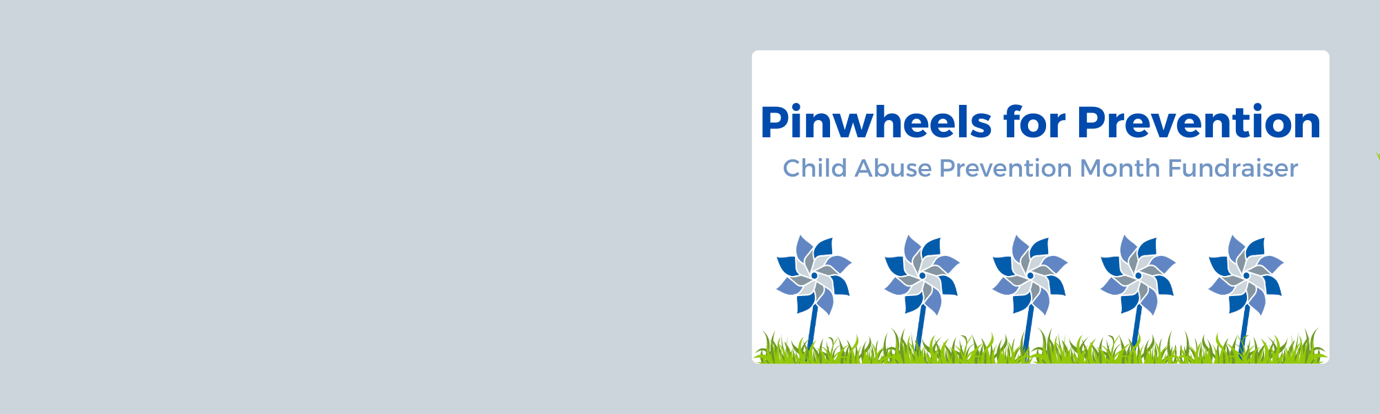 Plant Your Own Pinwheel Garden This April