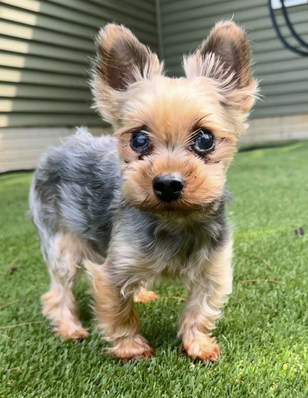 Walter