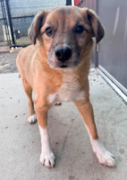 Jake - Offline due to hospice status October 18, 2025