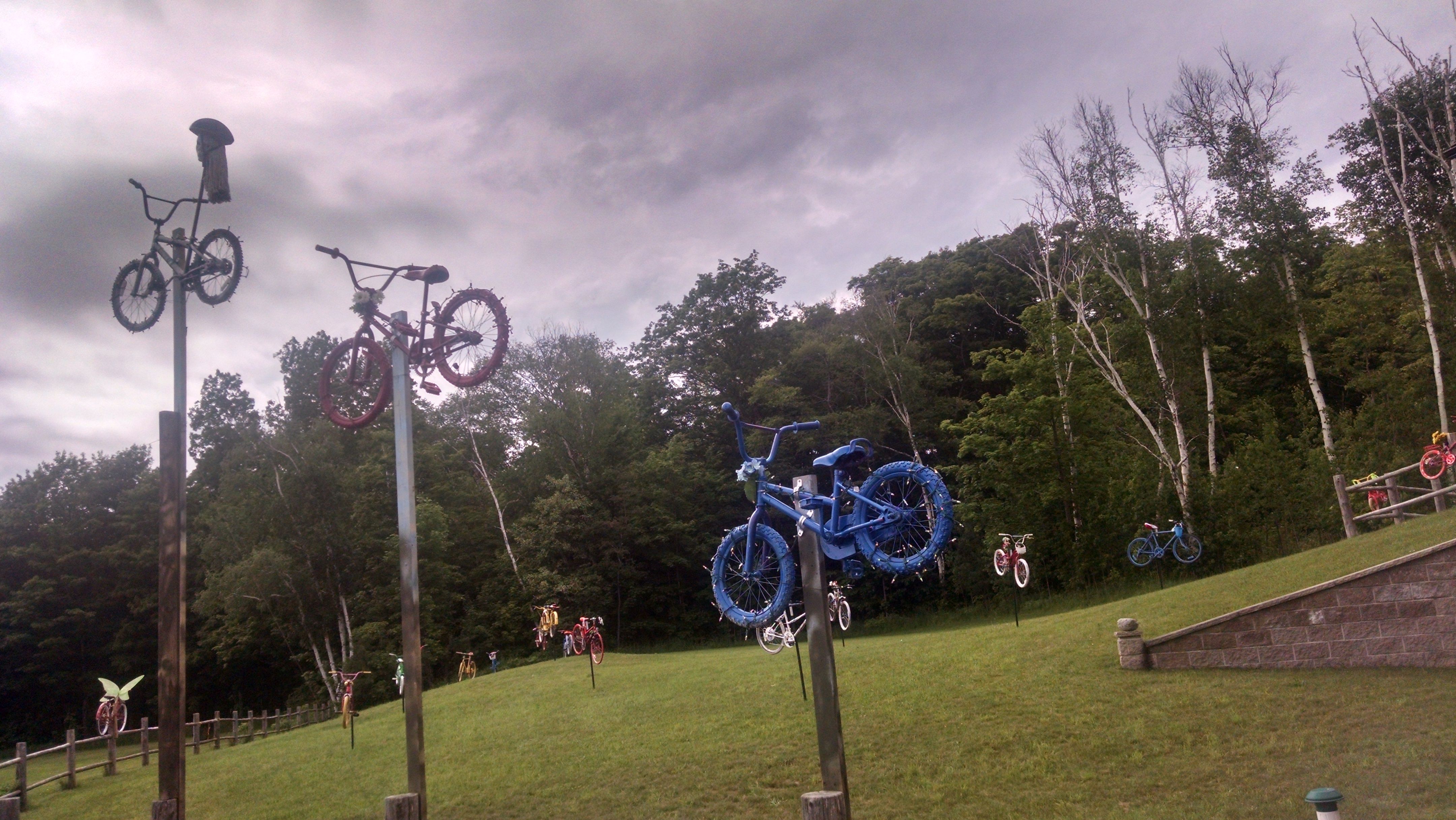 2015 Park Art - Bicycles