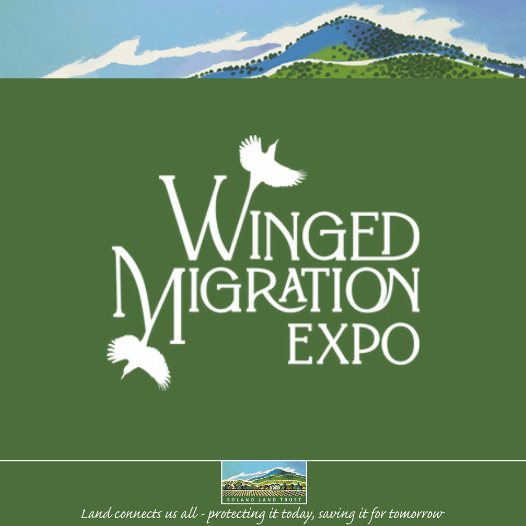 Winged Migration Expo 