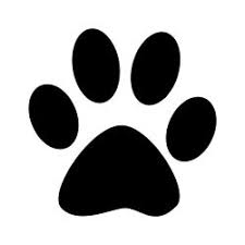 World Animal Day