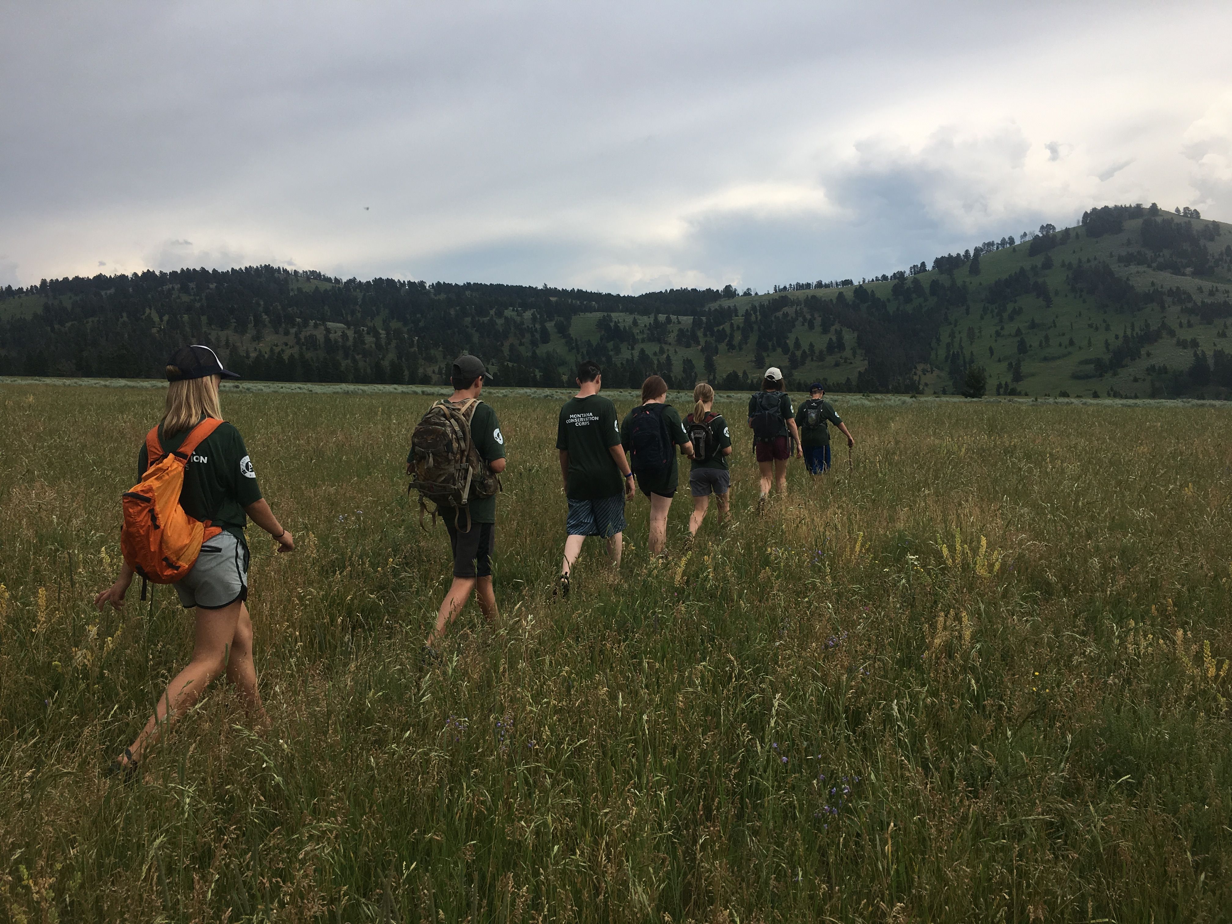 [Image Description: Six Youth MCC members and one leader are walking away from the camera, through a field filled with tall grasses.]