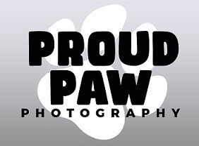 Proud Paw Photography