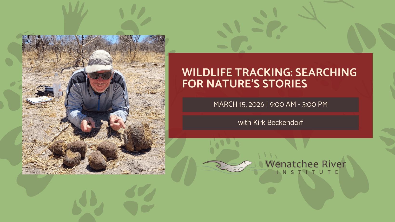 A man in a baseball cap lies on the ground amongst dry grass and bushes, pointing at several fist-sized lumps of elephant poop
