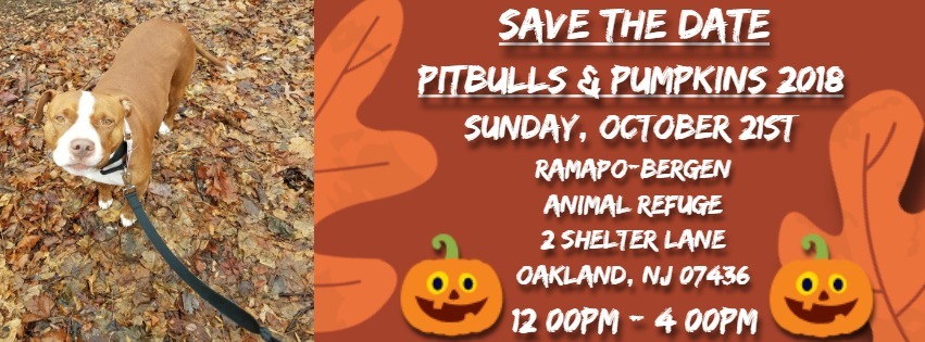Pitbulls & Pumpkins 2018!