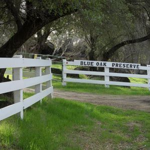 Blue Oak Preserve
