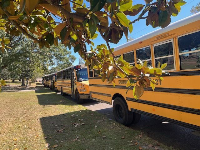 School Buses parked along a city street