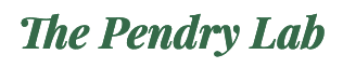 Pendry Lab