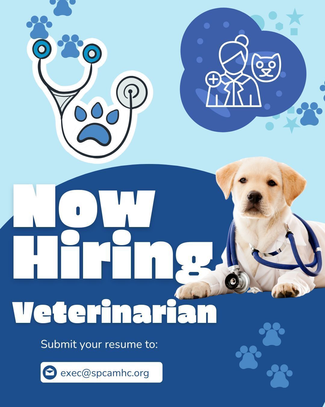 Now Hiring Shelter Veterinarian