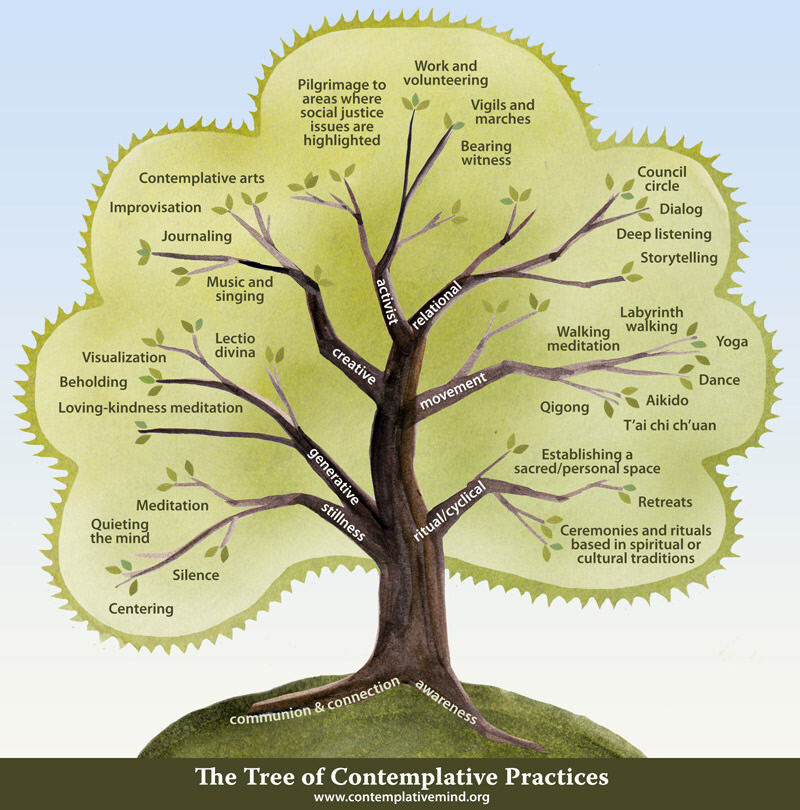 the tree of contemplative practices