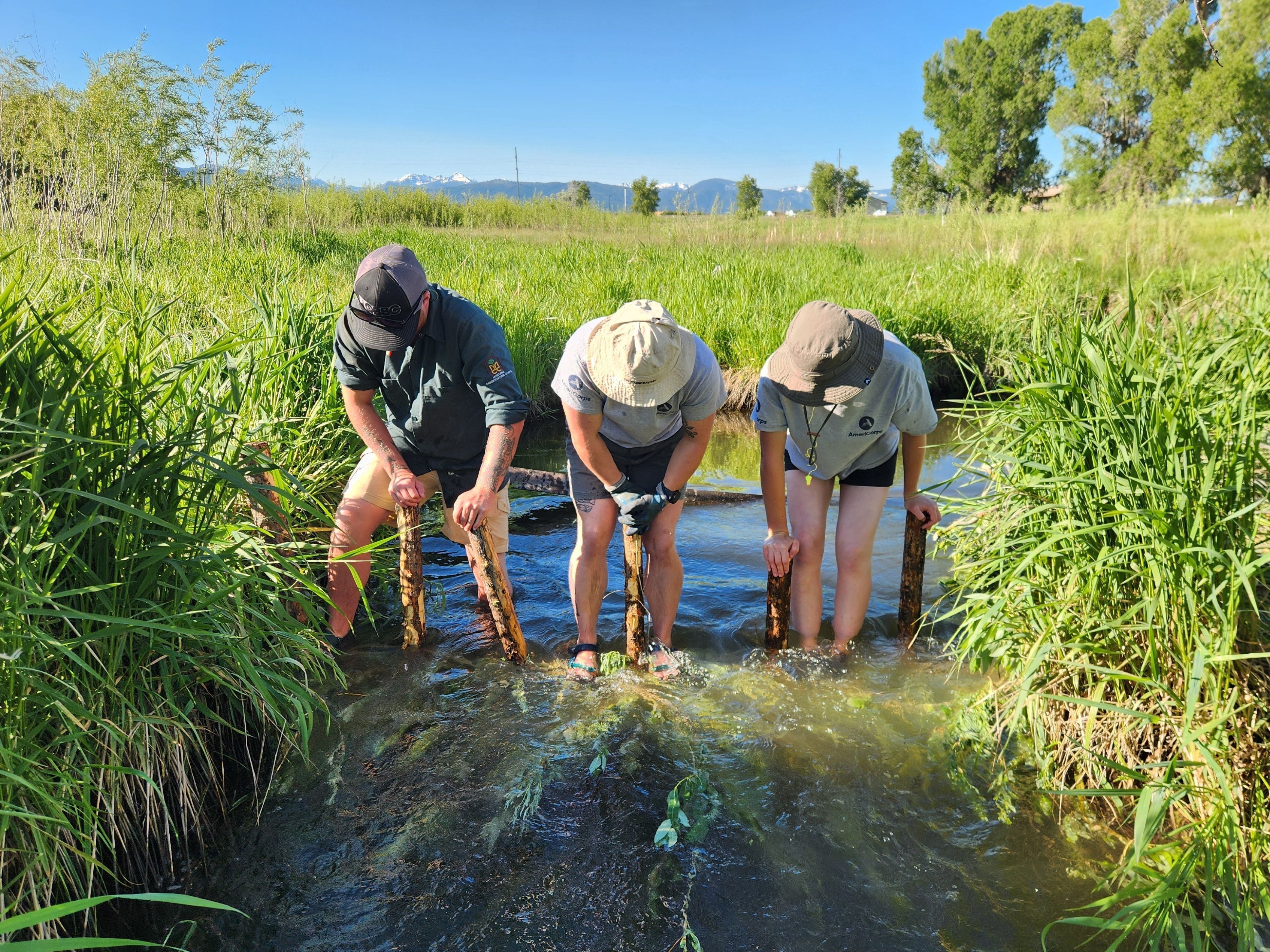 The Power of Collaboration for Restoration: A Rancher's Conservation Story