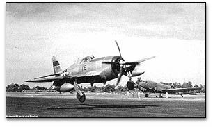 P-47 Thunderbolt: Aviation Darwinism