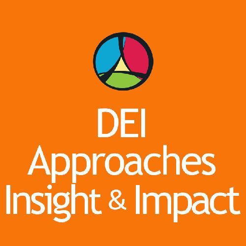 DEI Approaches Insight & Impact Activity