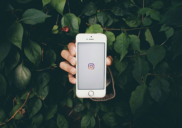 Why Businesses Should Be on Instagram