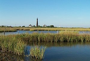 Horseshoe Marsh