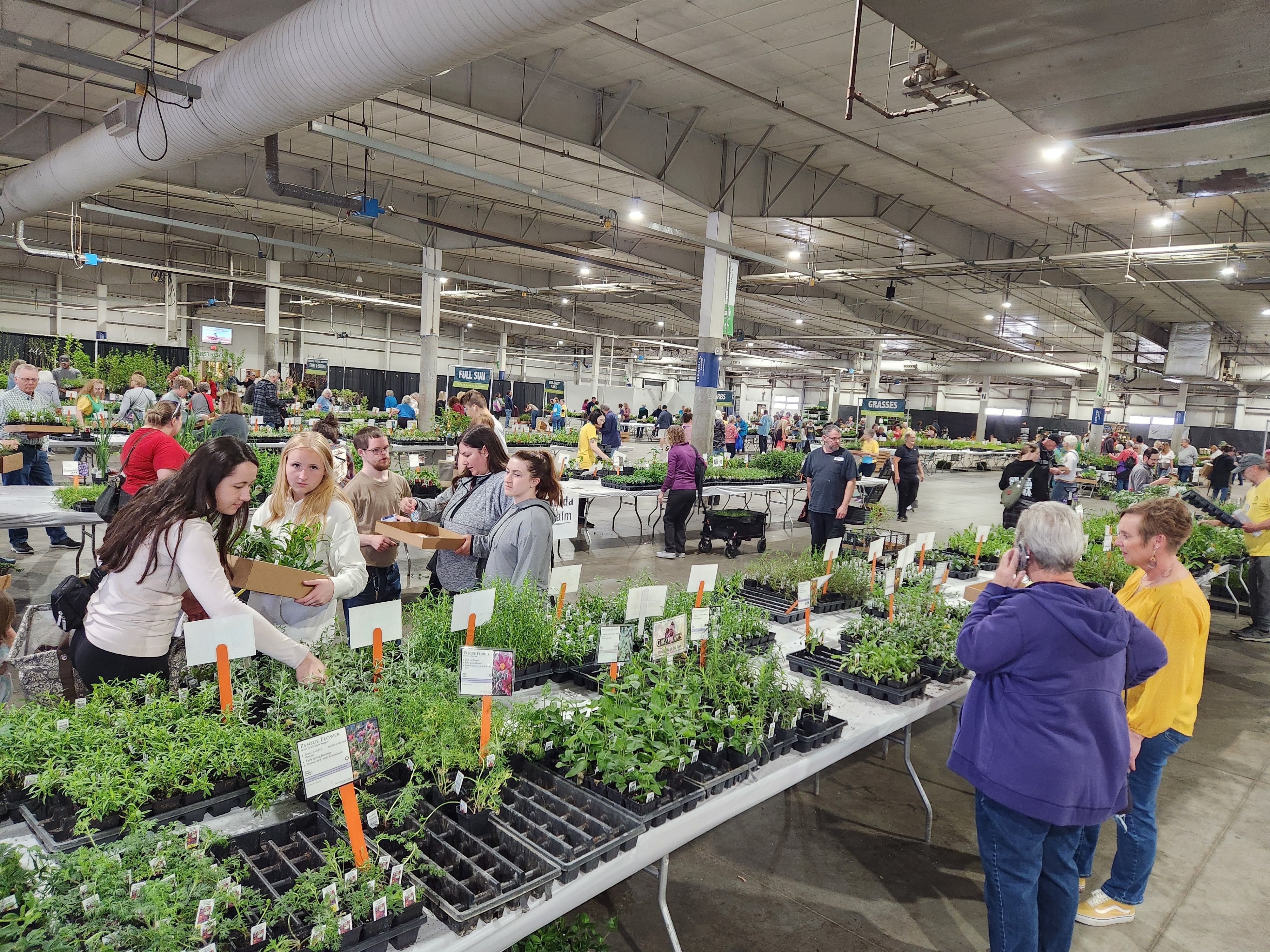 Shoppers carrying flats of plants browse the displays of plants for sale on tables in the event center. 