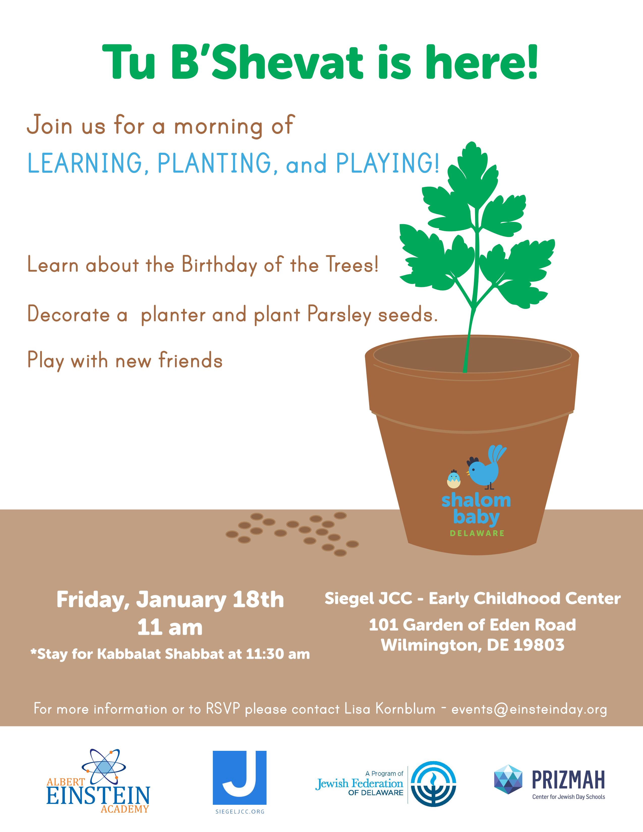Shalom Baby Tu B'Shevat - Parsley Planting