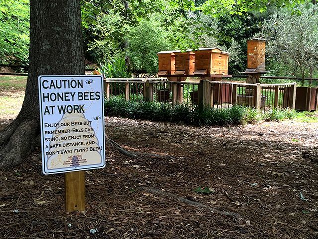 Caution Honey Bees at Work