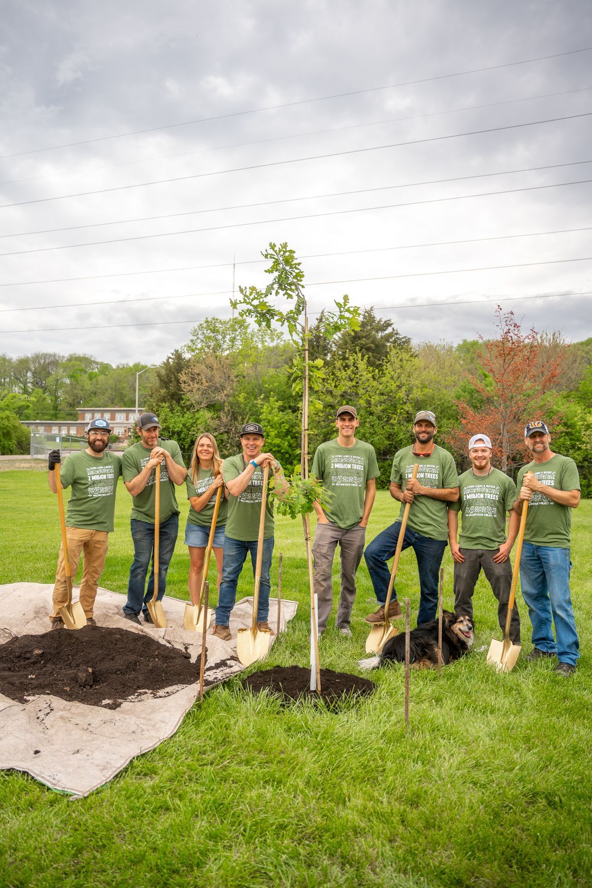 The 2 Millionth Tree!