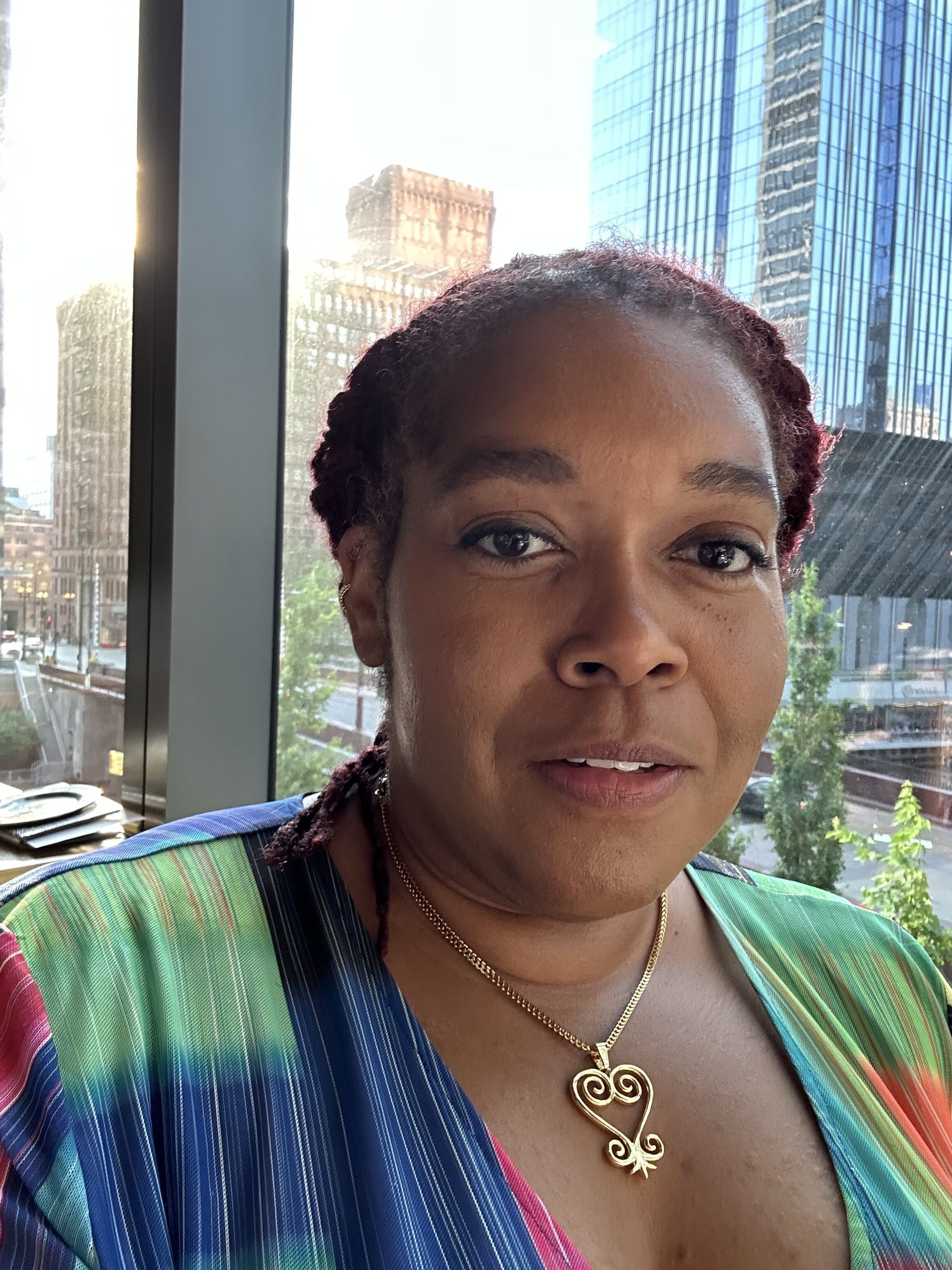 Paula Wills, BA, PMP