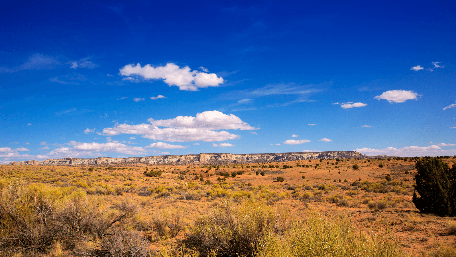 Arizona desert and blue sky 