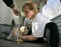 Humane Ohio aiming to give cats better lives