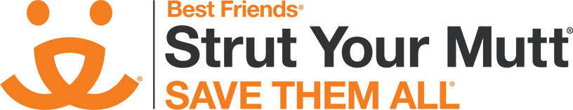 2019 New York City Strut Your Mutt